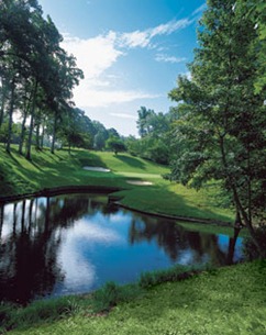 golden horseshoe golf williamsburg