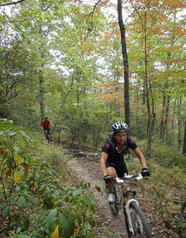 Freedom Park has a rich historical background dating back to the 1650′s.  This park is the site of an 18th century cemetery, the Revolutionary War Battle of Spencer’s Ordinary (1781),and a 17th century domicile that is revealing much archaeological research of the early colonial period (1680-1730).