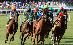 The $600,000 Virginia Derby at Colonial Downs in New Kent is the richest and most important race on the Virginia racing calendar. In addition to being one of the largest social events in Virginia it also annually attracts the best 3-year-old turf horses, jockeys and trainers in the nation, including two champions and three Breeders' Cup winners in just the last five years! 