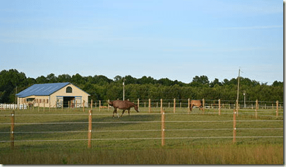 drinkwater equestrian